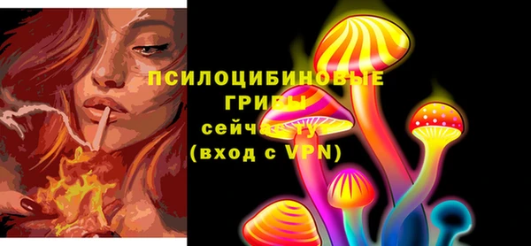 молекула духа Абдулино