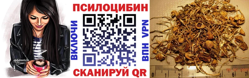Псилоцибиновые грибы Psilocybine cubensis  KRAKEN ссылки  Тулун  купить  цена 